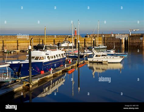 watchte|pictures of watchet somerset.